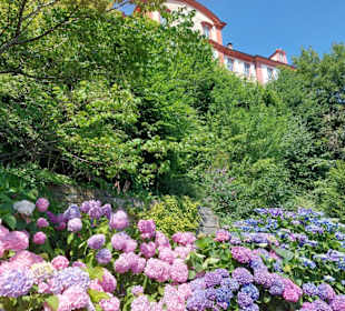 Blumeninsel Mainau