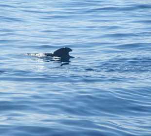 Widoki w trakcie rejsu