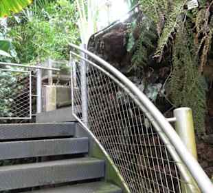Tropicarium