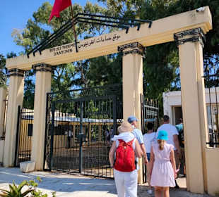 Ausgrabungen Karthago