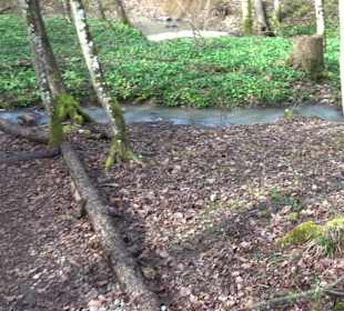 Barfuß-Pfad Firstwald