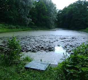 Zespół pałacowy Oranienbaum
