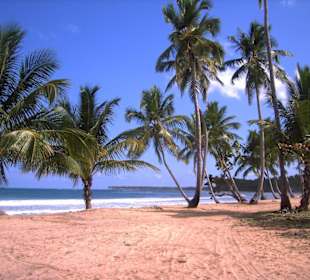 Karibischer Traumstrand