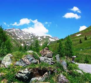 Ausblick von der Alm