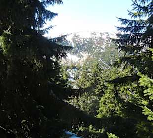 Karkonoski Park Narodowy