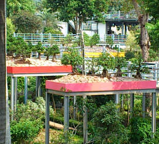 Noong Nooch Village Garden und Resort