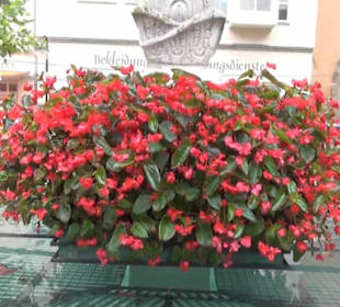 Gartentorbrunnen
