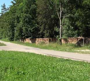 Burg Hölnstein Stetten u. Holstein