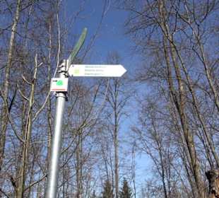 Premiumwanderweg "hochgeblickt"