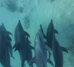 Alle da von der Familie 