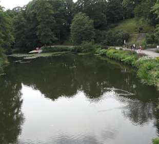 Wallgraben - Alter Botanischer Garten