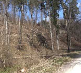Geologischer Lehrpfad Kirnbachtal