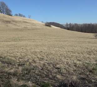 Naturschutzgebiet Meisenbühl