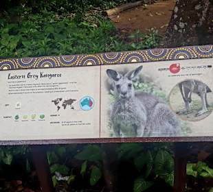 Singapur Zoo