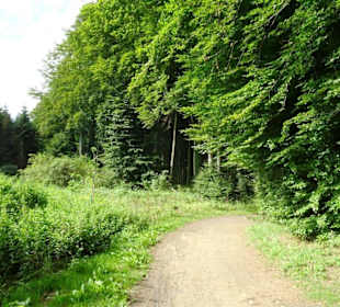 Wanderung durch die Kleine Luxemburger Schweiz