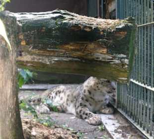 Zoo Ostrava