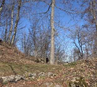 Burgruine Hohenstein