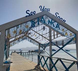 Jetty