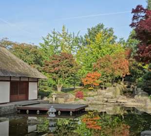 Im Japanischen Garten von "Planten un Blomen"
