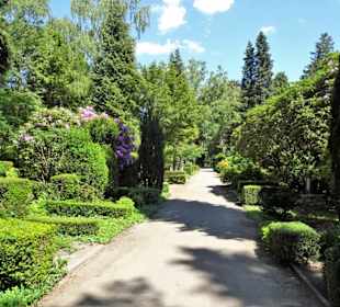 Rundgang über den Friedhof Nienstedten