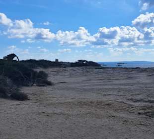 Naturschutzgebiet Ses Salines