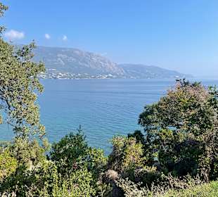 Strand Ipsos