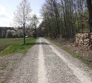 Sport- und Freizeitpark Markwasen