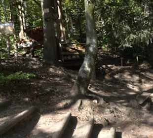 Natur-Hochseilgarten Triberg