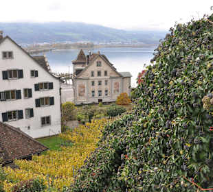 Виды города