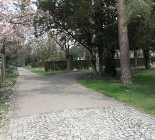 Alter Friedhof