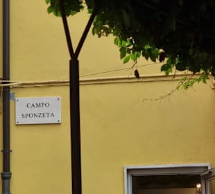 Kann man nicht verfehlen 