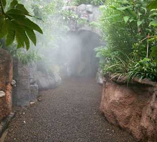 Aquarium in Palma - Dschungelbereich