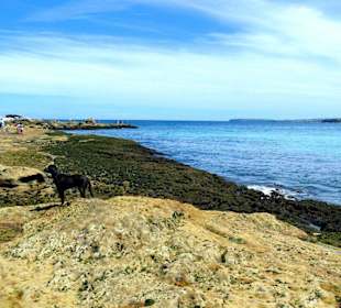 Bondi Beach