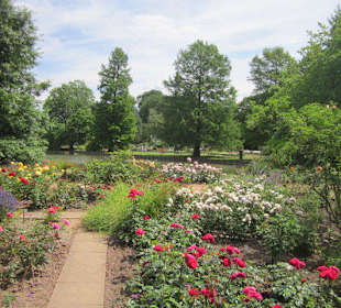Rosengarten Zweibrücken