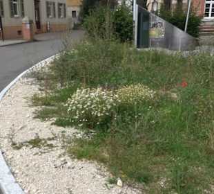 Biosphärenzentrum Schwäbische Alb Auingen