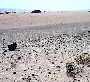 Dünen von Corralejo