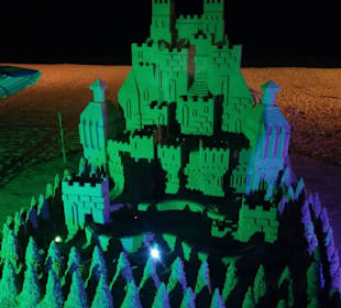 Der Bau soll lt. Aussteller 4 Tage gedauert haben