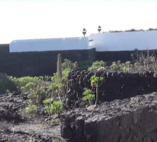 Fundacion Cesar Manrique