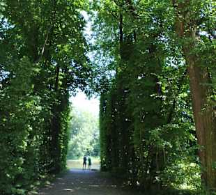 Pałac i ogród w Wilanowie