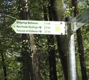 Wanderweg Hochgehwachsen