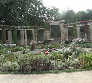 Rosengarten im Tiergarten