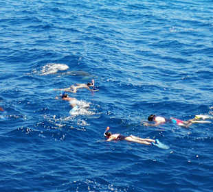 Auf geht's ins offene Meer 