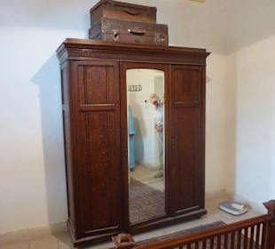 Carter´s House