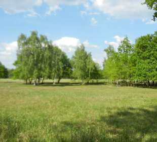 Naturschutzgebiet Boberger Niederung