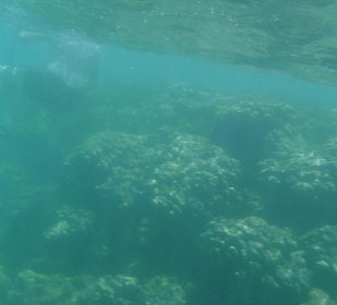 Tatsächlich gibt es Menschen, die mit Sandalen auf dem Riff 