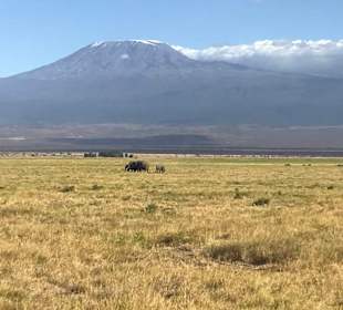 Kilimanscharo - Amboseli NP