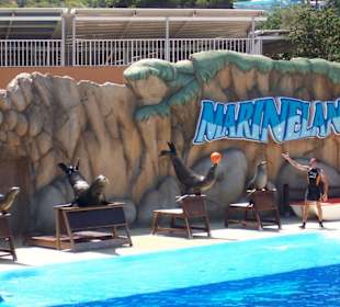 Marineland