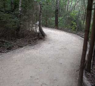 Dinosaurier Museum Altmühltal