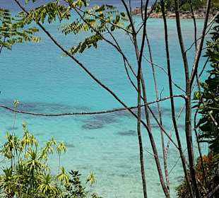 Tour & Ausflug Anse Possession