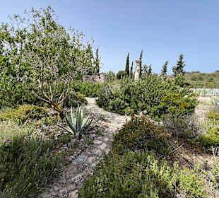 Botanischer Garten 